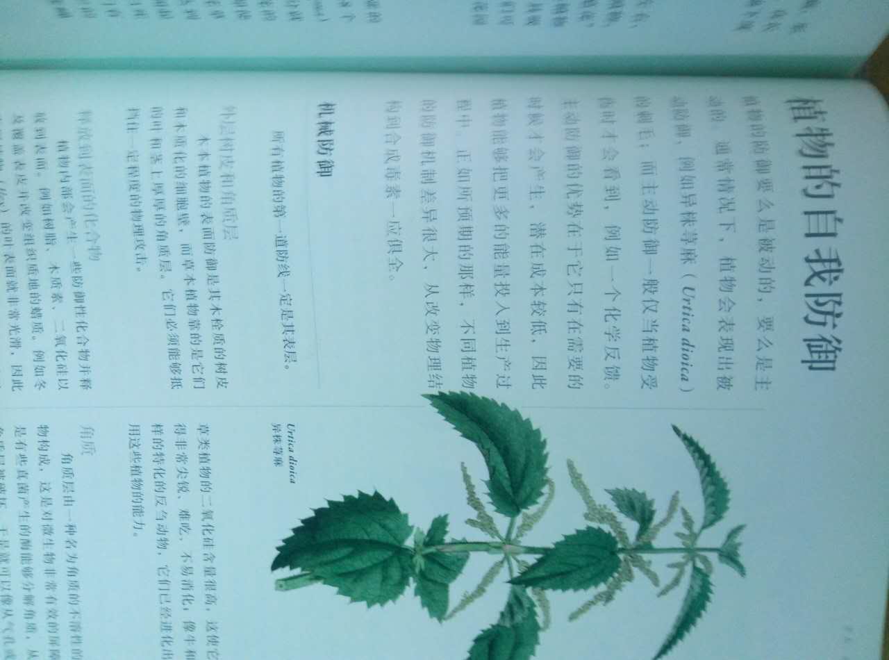 里面有很多植物的介绍(外面包着书皮)