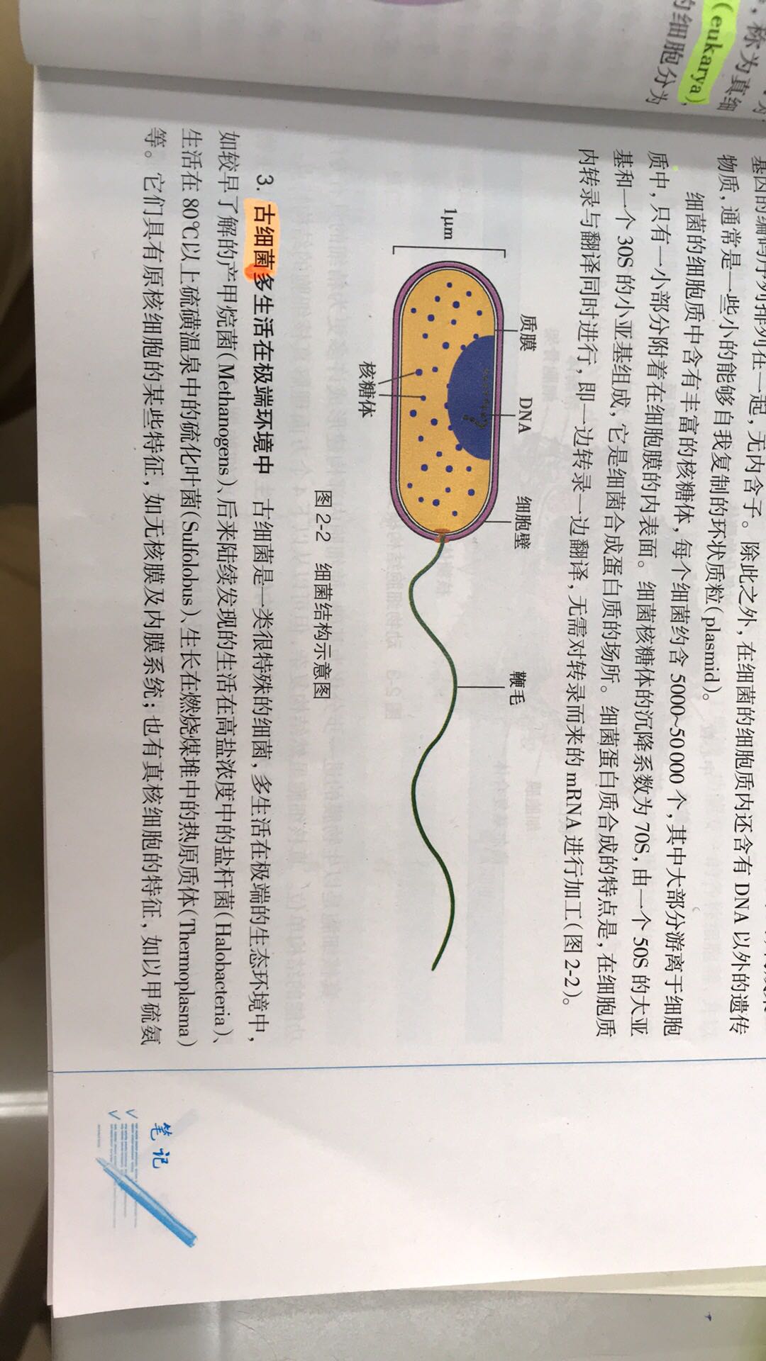 书居然印歪了。。。希望是运气问题吧