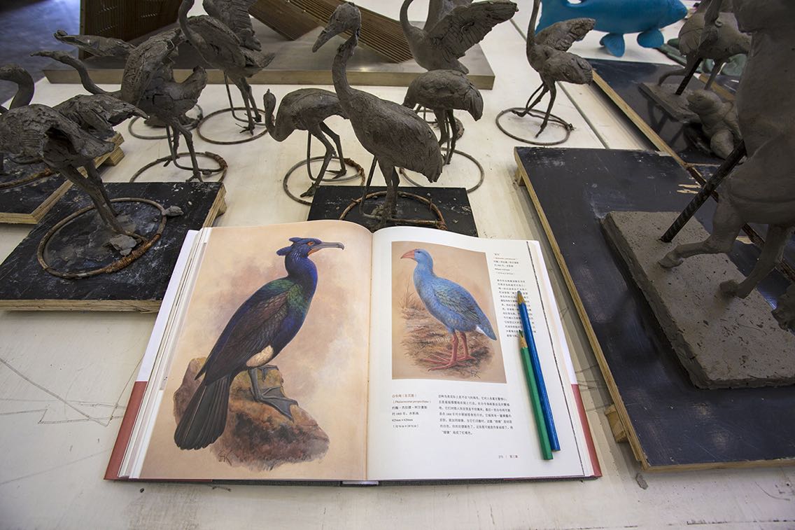 这本书是伦敦自然博物馆的《Birds: The Art of Ornithology 》的中文版本。作者乔纳森·艾埃尔菲克可以说是一名相当有名气的博物作家，而本书在某种程度上也算得上是老爷子的代表作之一。英文版在美亚上的评分在4.8左右。首先从外观来看，不管是从设计、装帧、印刷还是纸张来说，都做到了难得的精致。从非常生动的画作图片上，几乎可以感觉到羽毛的纹理。书中的图片都来自于伦敦自然博物馆官方授权供图，精度远超一般的网络公版图，更不用说还有很多馆藏未在网络上公开的图片。不光是形式上的美好，这本书载内容上有着丝毫不逊于其外形的充实（绝对的内涵美女！）。书中出现的人物众多，但由于高超的写作手法并不混乱。是一本非常好的书！