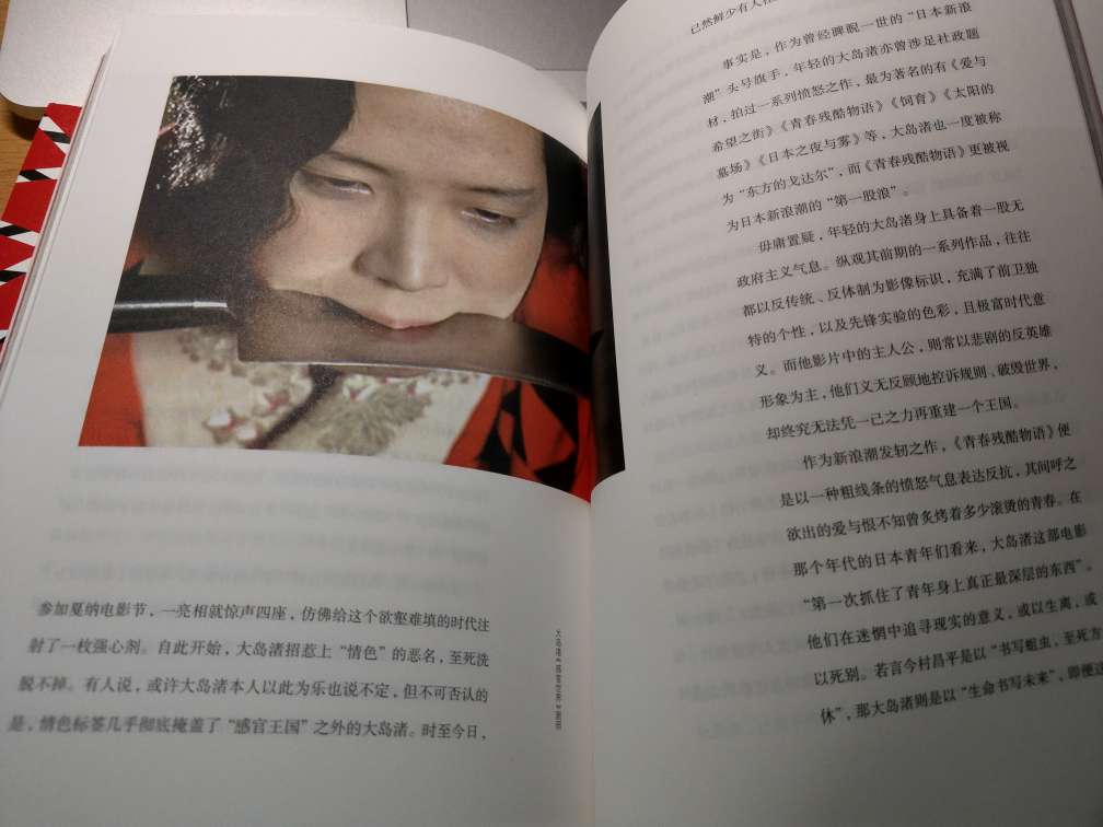 蛮期待的一本书，源于对陆支羽的喜爱。这本书在印刷过程中犯了和南京大学出版社的《电影史》一样的失误，就是彩印技术低劣，味道刺鼻。