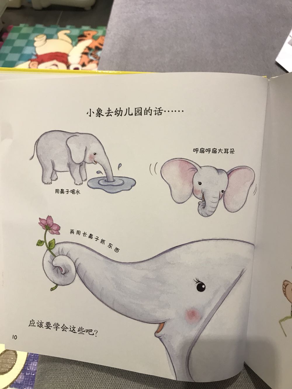 很喜欢这本你好幼儿园，插画精美，比很多凯迪克大奖的绘本都好，内容接近生活，形象生动。