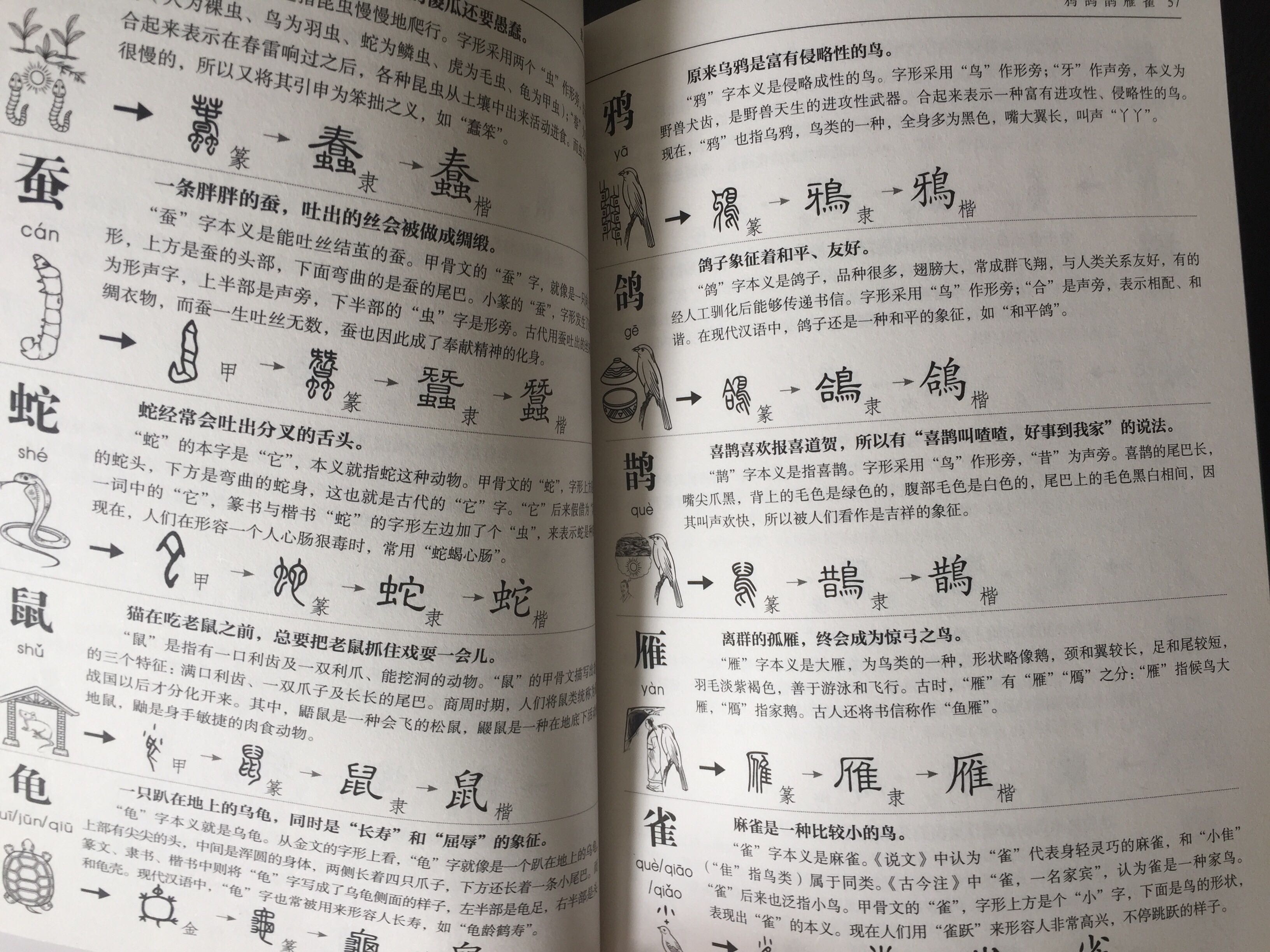 用简单易懂的方式解读汉字，方便小学生自己阅读，促进趣味学习。