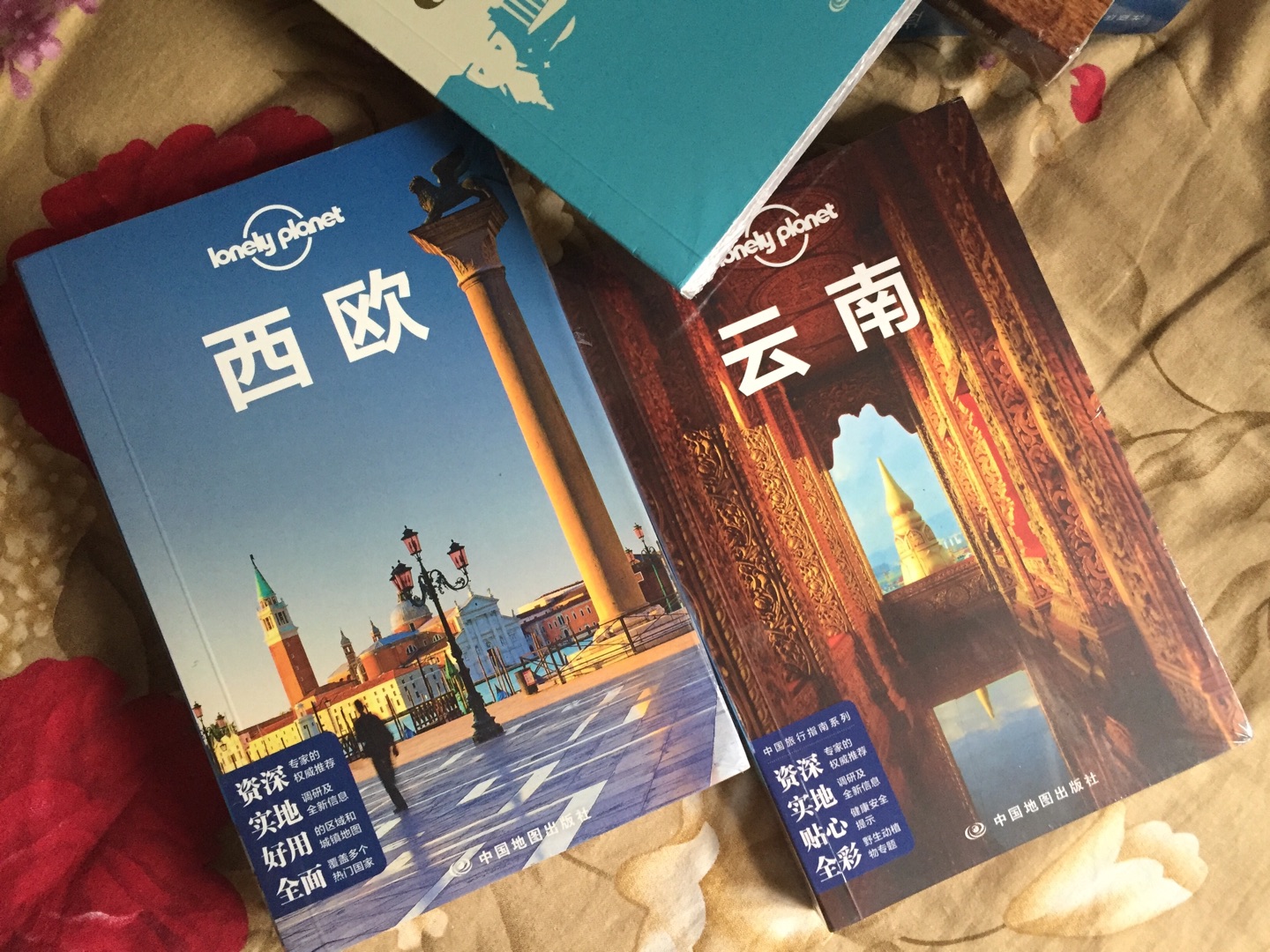 Lonely Planet系列丛书很喜欢，最近计划去西欧，买一本来做旅行参考