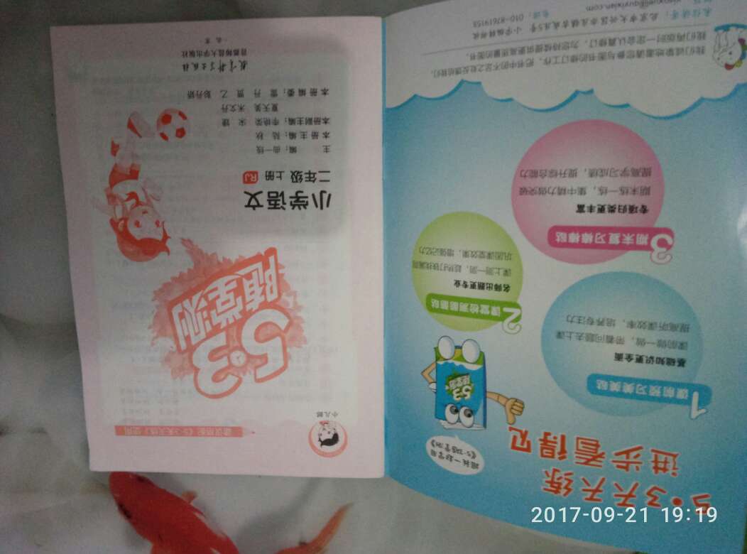 小学生预习检测的好帮手，实用、完美！