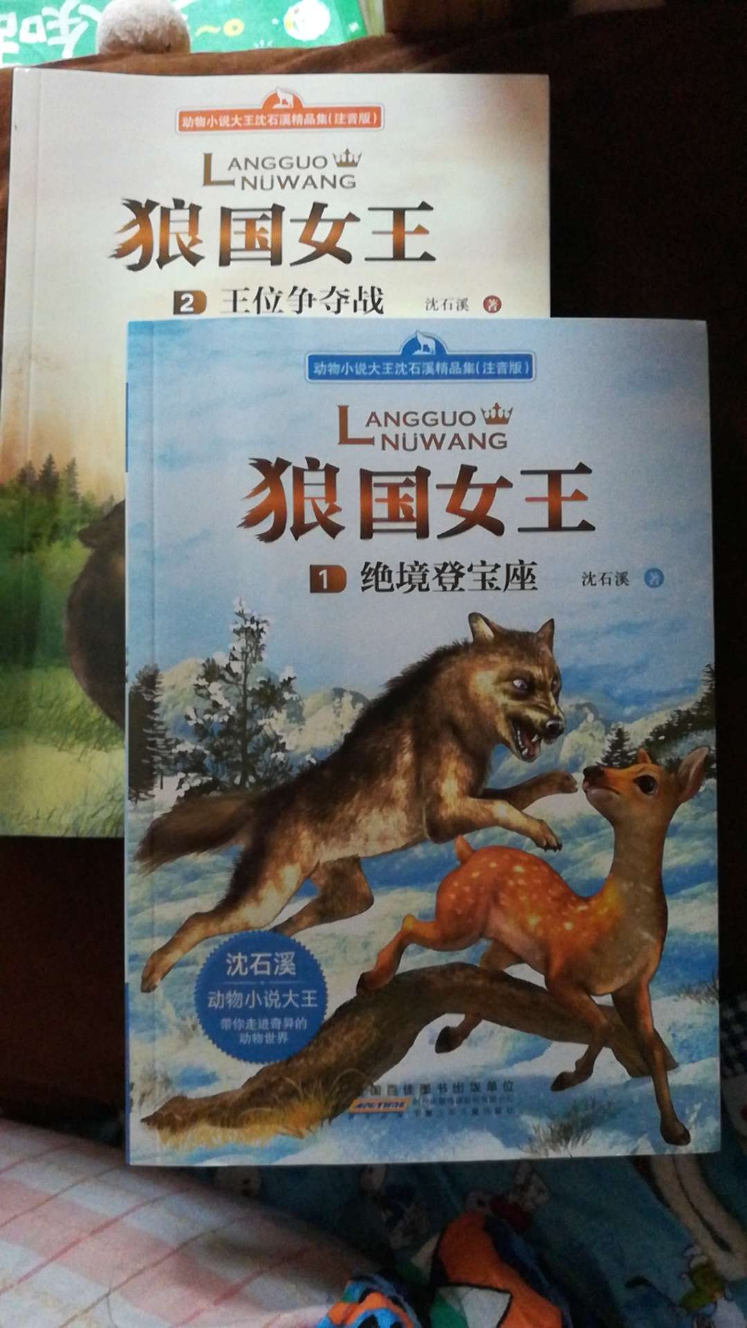 狼国女王这套书真的非常好看，我自己先看到的，觉得很好看，推荐给孩子，果真孩子很喜欢。