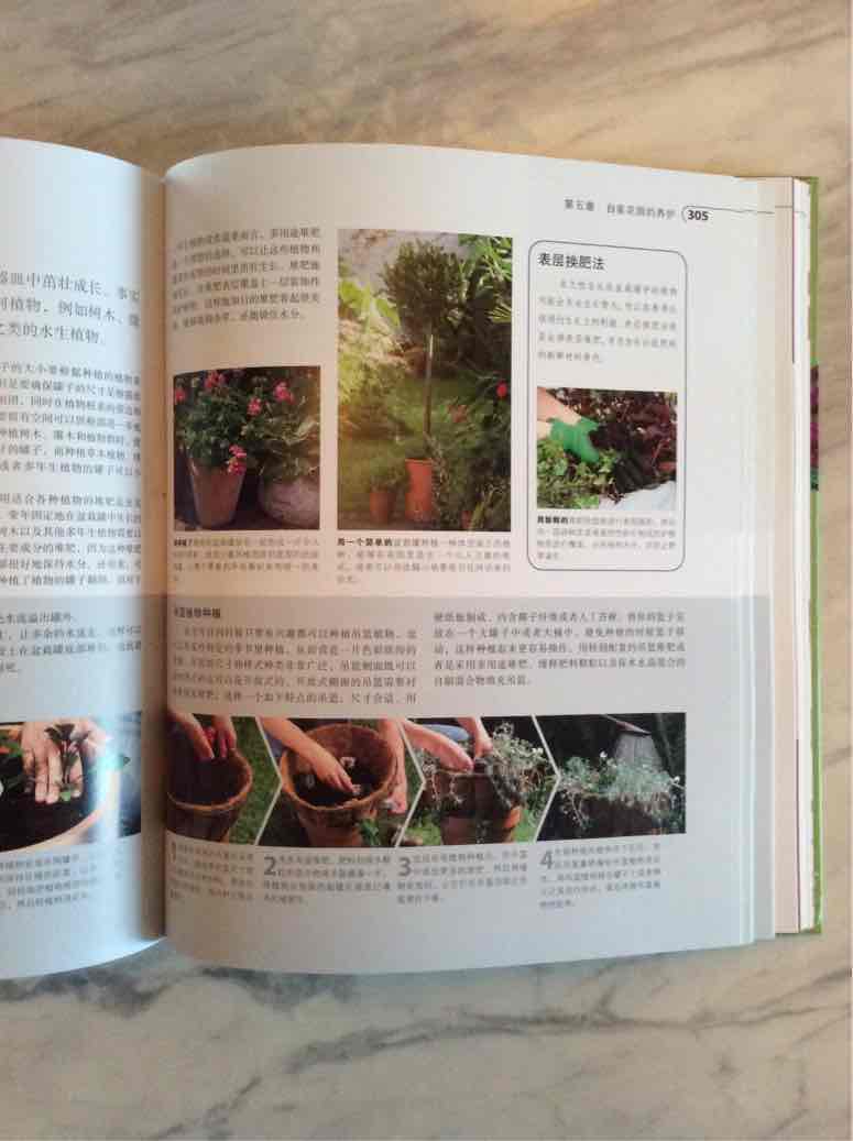 非常详实的园艺百科，值得收藏！