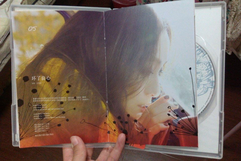 范玮琪：Love&FanFan（2011年全新国语专辑）（CD） 实拍图