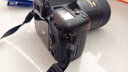 尼康（Nikon） D7500进阶款家用旅游高清数码单反相机 D7500 单机（胜任多种光线环境） 实拍图
