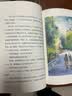 大作家写给孩子们：夏天的鞋子：川端康成给孩子们的故事 校园家庭生活 成长故事 儿童文学佳作9岁+ 暑期阅读课外阅读推荐 实拍图