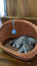 康贝尼宠物狗窝仿藤条猫窝藤编泰迪比熊博美小型犬窝可拆洗 猫狗用品 半封闭/中号建议10斤内猫狗 实拍图