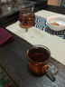 正扬玻璃茶具套装家用简约整套日式功夫茶具办公茶杯透明过滤泡茶壶小 10头400ML不锈钢六色把杯)套装+舍得茶盘/黑 实拍图