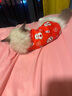 久久宠 猫衣服加绒秋冬装宠物保暖英短美短衣服新年喜庆猫咪两脚背心 招财猫-XS-约1~2斤幼猫-修身版型 实拍图