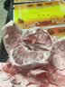 柚满园梅州三红柚红心柚子正宗梅县特产新鲜水果碌红心柚红肉蜜柚 2个共5-6斤带箱 实拍图