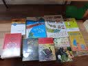 埃里希·凯斯特纳作品典藏 埃米尔擒贼记    必读 儿童礼物 小学生推荐书单 实拍图