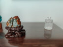 掬涵 小型复古玻璃器皿欧式花瓶花器透明干花插花水培客厅装饰摆件 C（7*11cm） 实拍图