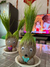 易囍艺 水培巴西木幸运木格鲁特创意绿植盆栽室内好养办公桌面植物 长草娃娃2个+2底托 规格 实拍图