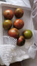 味小仙辽宁丹东草莓柿子（发顺丰）铁皮柿子绿腚油柿子西红柿番茄蔬菜 5000g 实拍图