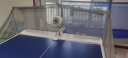 庞伯特（pongbot）omni 乒乓球发球机 家用台式智能专业自动乒乓球发球器训练器 omni增强版(遥控+集球网+250球) 晒单实拍图