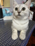 奥丁（ODIN）全价冻干双拼猫粮 鲜肉美毛 宠物主粮幼猫成猫通用型猫粮10kg 实拍图