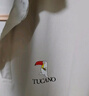 啄木鸟（TUCANO）短袖t恤男夏季商务休闲拼色海鸥领polo百搭上衣男装 抹茶绿L 实拍图