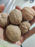 林谷森园 纸皮核桃 净重500g 薄皮手捏无漂白 休闲坚果零食大核桃带壳散装 实拍图