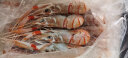 深悦胜（SHENYUESHENG） 新西兰进口鳌虾刺身 scampi斯干比1kg 特大南极深海虾甜虾刺身 2号（10-15只） 实拍图