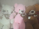 乐怡萱毛绒玩具泰迪熊大熊猫公仔布娃娃熊玩偶抱抱枕熊送女生情人节礼物 白色LOVE 1.2米（+玫瑰花） 实拍图