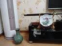 汪洋大海景德镇瓷器花瓶酒柜客插花家居装饰工艺品博古架陶瓷水培养花玄关 春色满园挂盘+龙架 实拍图