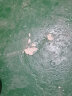 迅彩环氧树脂地坪漆水泥地面漆耐磨自流平地板漆室外油性地面漆油漆 艳绿 20公斤=16kg主漆+4kg固化剂 实拍图