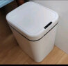 尔蓝  17L大号智能垃圾桶 挥手感应式带盖厨房卫生间垃圾筒AL-GB302 实拍图