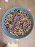 轩林美 多肉植物 肉肉盆栽 老桩办公室内耐干旱懒人绿植花卉 紫乐（3-5cm） 实拍图