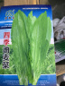 易栽乐（Yizail） 园艺工具家庭阳台种菜种花小铲子 铁锹 镁铝合金材质 花园盆栽养花工具 宽铲+刻度窄铲+耙子+叉子+拔草器 5件套装 实拍图