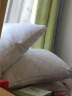 洁丽雅（Grace）纤维枕 星级酒店枕头枕芯 46*72cm 一对装（2只装） 晒单实拍图