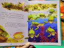 边玩边学写字母  实拍图