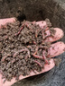 梦达 蚯蚓活饵鲜活红虫垂钓鱼饵料鲫鱼鲤鱼野钓黑坑鱼料打窝料鱼食 半斤蚯蚓(中号)+送土+送蚯蚓盒 实拍图