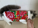 阿莫尔猫咪唐装狗狗衣服东北大花棉袄泰迪比熊博美柯基小狗新年喜庆服装 东北大花（红色） M-具体参考背长和胸围 实拍图