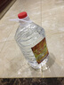 八瀚洋河镇粮食大桶散装白酒5L约10斤浓香型42/52度散酒高粱泡药酒 52度 5L 1桶 5L大桶酒 实拍图