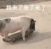 易厨食代魔鬼辣烧烤料 重辣烤肉烤串撒料 孜然芝麻空气炸锅调料辣椒面185g 实拍图