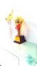 英友（ENYOU）金属奖杯定制篮球足球体育比赛年会颁奖学生儿童奖杯 球形中号 实拍图