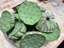 良知农哥【顺丰】现摘莲蓬 莲子莲蓬生吃嫩莲子鲜甜新鲜水果 湘潭莲蓬3斤 顺丰陆运丨回购多 实拍图