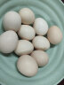 寻鲜鸟土鸡蛋 农家散养 谷物喂养 笨鸡蛋 月子蛋 鲜鸡蛋无抗生素鸡蛋 10枚装/盒 实拍图