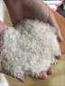 三眼桥好世稻新米广东韶关油粘米金象牙米30斤南方大米农家丝苗米15kg晚稻米 实拍图