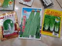 寿禾大白菜种子大全老品种秋播四季农科院娃娃菜山东蔬菜播天津青籽 [老包装]小义和秋白菜种子 10g装 实拍图