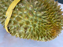 采缇（CAITI）正宗泰国金枕头榴莲新鲜榴莲水果巴掌榴莲带壳整个当季鲜果 2-3斤榴莲盲盒（一天一百个) 实拍图