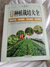 【包邮】新农村种植栽培大全黄瓜辣椒茄子番茄韭菜大葱大白菜马铃薯蔬菜种植宝典病虫害大全塑料大棚蔬菜栽培技术农作物种地书籍 实拍图