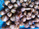 辰实【现货】茨菇新鲜 慈姑 云南白茨姑现挖应季蔬菜燕尾菇 5斤 实拍图