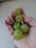 果益寿金手指葡萄新鲜水果蓝宝石无籽黑提脆甜美人指孕妇提子水果礼盒 精品果2斤【尝鲜装】 实拍图
