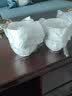 嘉兰 陶瓷碗家用吃饭碗单个创意简约风格可爱大号米饭碗汤面碗甜品碗 实拍图