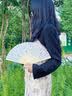 葆氏扇子中国风折扇女士绢布古典扇子夏季汉服旗袍拍照便携折叠 实拍图