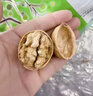 滇中拾味2025年新货云南薄皮核桃 原味老树大麻子丑纸皮生核桃带壳坚果 云南薄皮核桃精选果3斤1500g1箱 实拍图